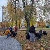 Krokusy